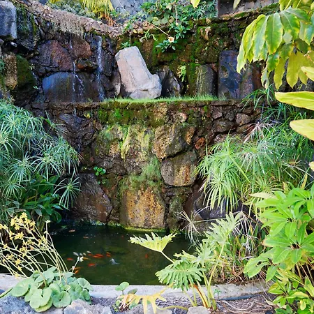 Exotic Garden Mar * Palm-mar