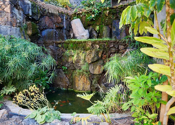 Exotic Garden Mar * Palm-mar